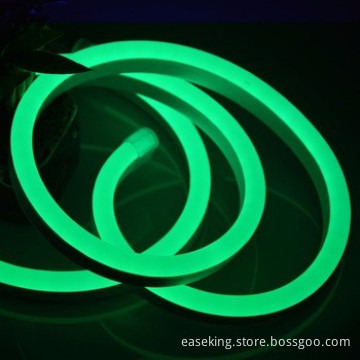 Custom led neon flex party light